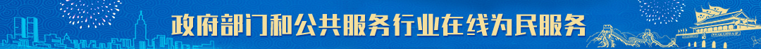 政府部门和公共服务行业在线为民服务