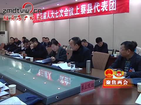 市领导分别参加审议讨论政府工作报告