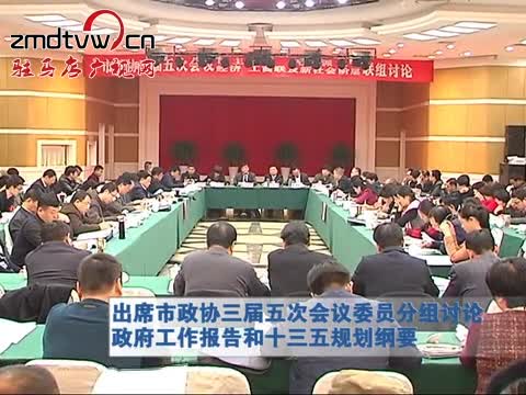 出席市政协三届五次会议委员分组讨论政府工作报告