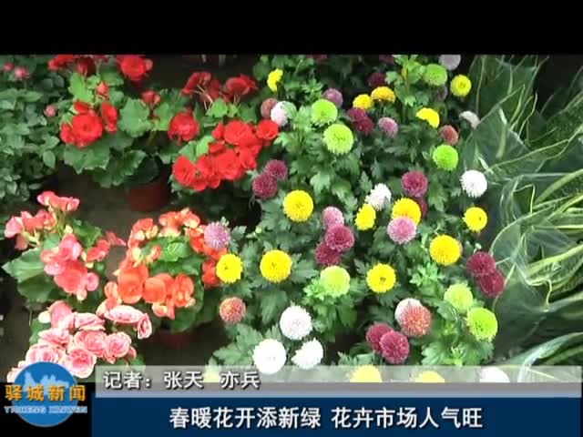 春暖花开添新绿 花卉市场人气旺